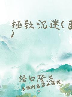 极致沉迷(臣年)