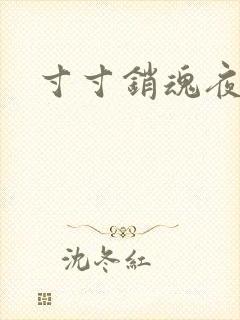 寸寸销魂夜春光