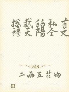 总裁的私有宝贝穆天阳全文阅读