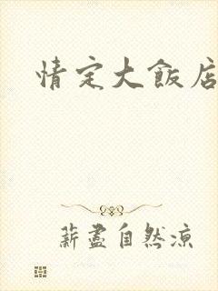 情定大饭店同人