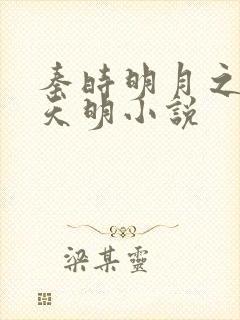 秦时明月之夜尽天明小说