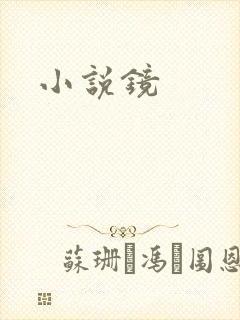 小说镜