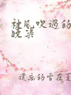 被风吹过的夏天晓渠