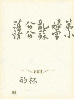 荡公乱妇第1章情公苏雪小说