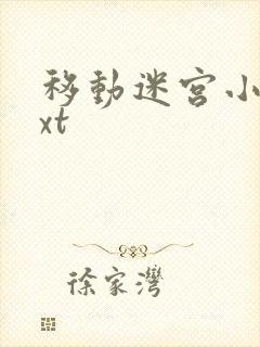 移动迷宫小说txt