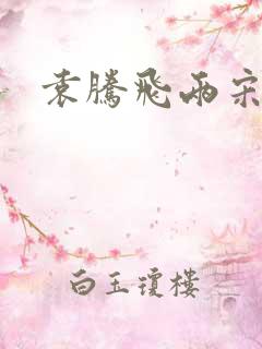 袁腾飞两宋风云