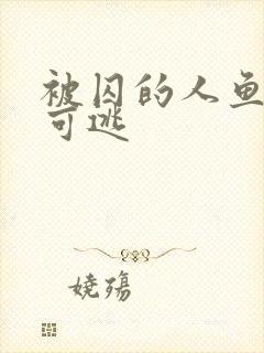 被囚的人鱼无处可逃