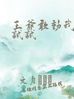 王爷敢动我妈咪试试