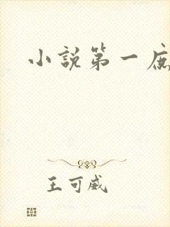 小说第一庶女