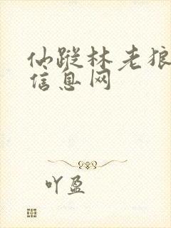 仙踪林老狼贰佰信息网