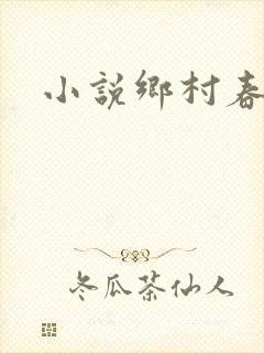 小说乡村春光