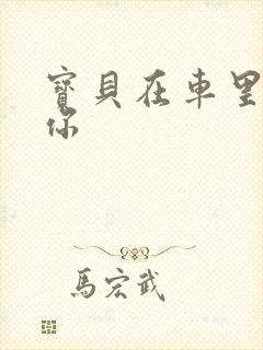 宝贝在车里想要你