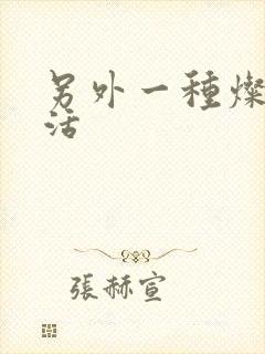 另外一种灿烂生活