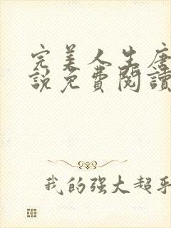 完美人生唐诚小说免费阅读