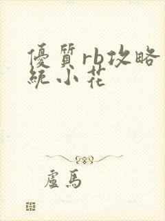 优质rb攻略系统小花