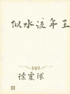 似水流年王小波