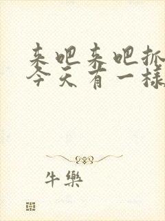 来吧来吧抓紧点今天有一样好东西