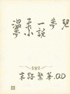 温柔一梦儿媳林梦小说