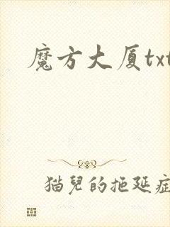 魔方大厦txt