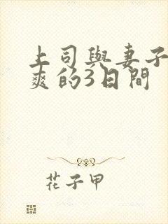 上司与妻子干到爽的3日间