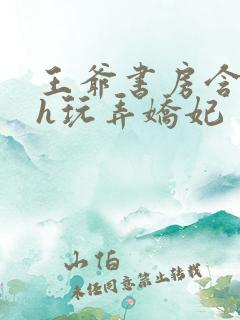 王爷书房含乳尖h玩弄娇妃