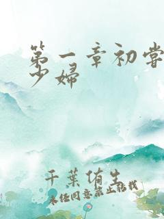 第一章初尝云雨少妇