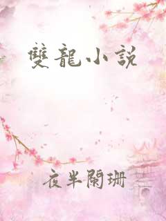 双龙小说