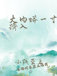 大肉蟒一寸一寸挤入