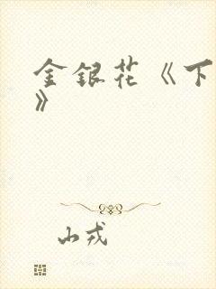 金银花《下厨房》