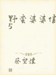 野蛮婆婆俏媳妇5