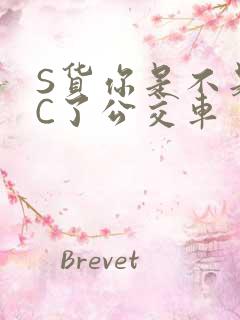 S货你是不是欠C了公交车