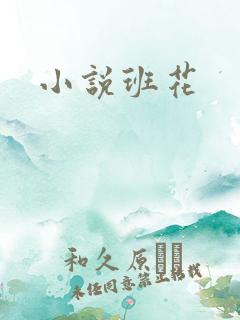 小说班花