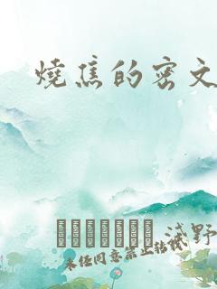 烧焦的密文
