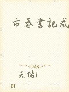 市委书记成长记