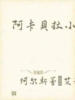 阿卡贝拉小说