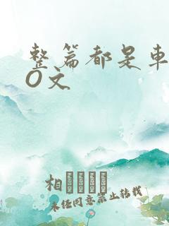 整篇都是车的PO文