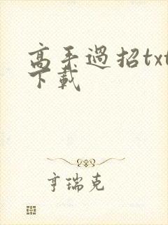 高手过招txt下载
