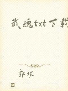 武魂txt下载