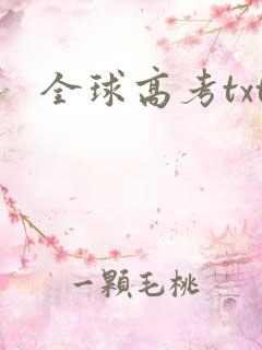 全球高考txt