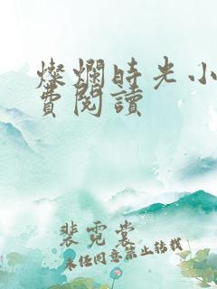 灿烂时光小说免费阅读