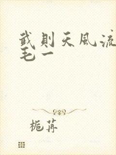 武则天风流艳情毛一