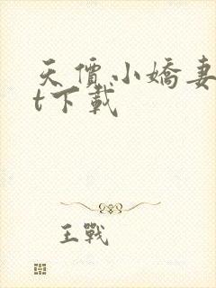 天价小娇妻txt下载