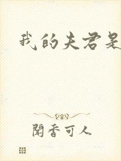 我的夫君是冥王