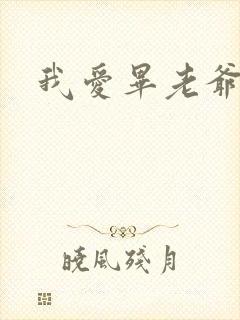 我爱毕老爷