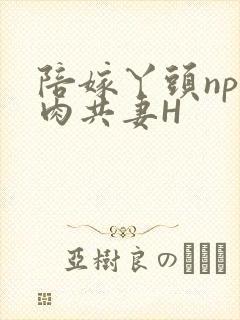 陪嫁丫头np全肉共妻H