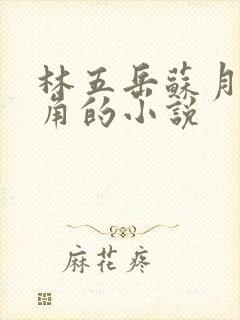 林五岳苏月灵主角的小说