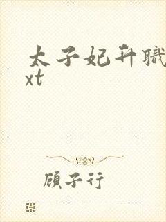 太子妃升职记txt