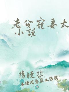 老公宠妻太甜蜜 小说