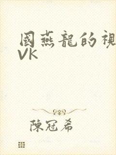 国燕龙的视频IVK