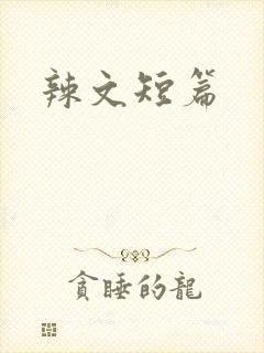 辣文短篇
